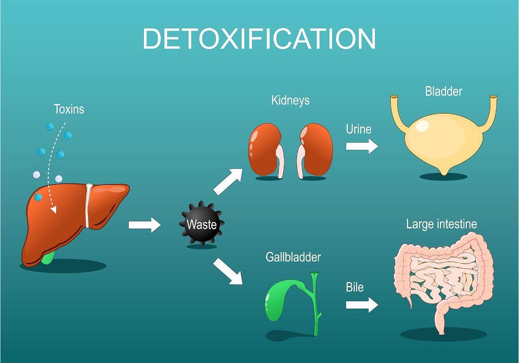Liver- Detox